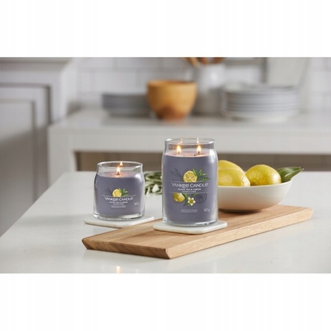 YC SIGNATURE - Świeca duża BLACK TEA & LEMON