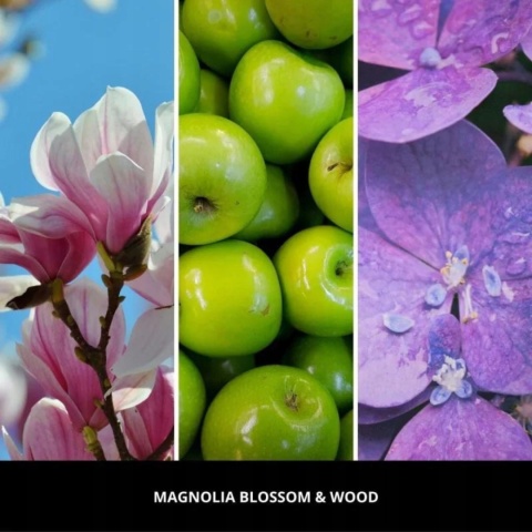 MILLEFIORI MILANO MAGNOLIA BLOSSOM & WOOD uzupełniacz do pałeczek 500 ml