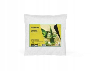 Pillow Aloe Vera 40x40 200g