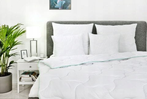 Pillow Aloe Vera 40x40 200g